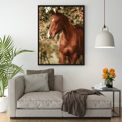Värvi numbri järgi Raamis "Hobune aias" Oh Art! 40x50 cm hind ja info | Maalid numbri järgi | kaup24.ee