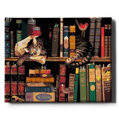 Värvi numbri järgi Raamis "Kass raamaturiiulis" Oh Art! 40x50 cm hind ja info | Maalid numbri järgi | kaup24.ee