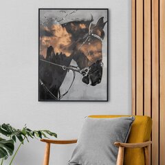 Värvi numbri järgi Raamis "Tume hobune" Oh Art! 40x50 cm hind ja info | Maalid numbri järgi | kaup24.ee
