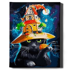Värvi numbri järgi Raamis "Võlur-kass" Oh Art! 40x50 cm hind ja info | Maalid numbri järgi | kaup24.ee