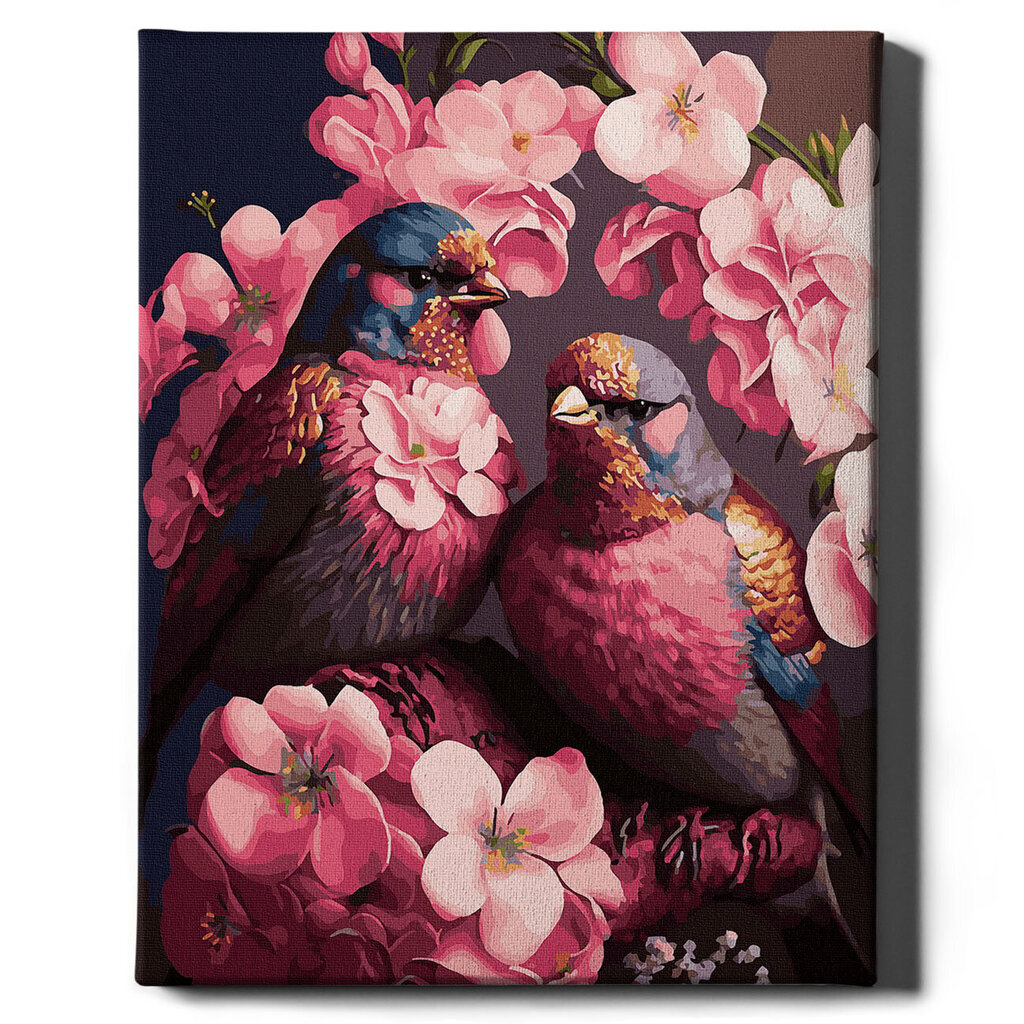 Värvi numbri järgi Raamis "Putni rozā ziedos" Oh Art! 40x50 cm hind ja info | Maalid numbri järgi | kaup24.ee