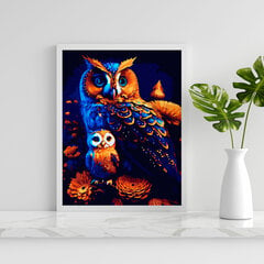Картина по номерам "Сова и совёнок" Oh Art! 40x50 см цена и информация | Живопись по номерам | kaup24.ee