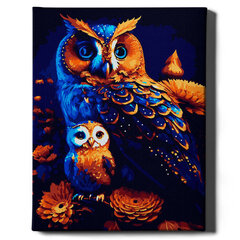 Värvi numbri järgi Raamis "Owls" Oh Art! 40x50 cm hind ja info | Maalid numbri järgi | kaup24.ee