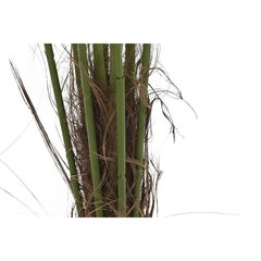 Декоративное растение DKD Home Decor Зеленый PE (40 x 40 x 90 cm) цена и информация | Искусственные цветы | kaup24.ee
