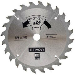 Пильный диск Tivoly 160x20x2,45/1,5мм, z20, 15°, (переходник 16мм), по дереву цена и информация | Механические инструменты | kaup24.ee