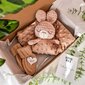Kinkekomplekt Little Kaj, pruun jänes цена и информация | Imikute mänguasjad | kaup24.ee