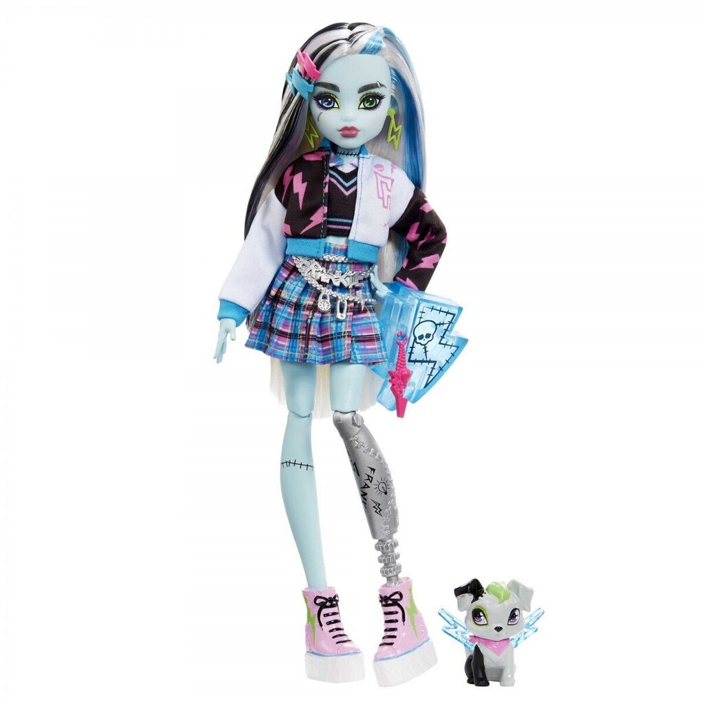 Nukk koos aksessuaaridega Monster High Core Frankie hind ja info | Tüdrukute mänguasjad | kaup24.ee