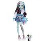 Nukk koos aksessuaaridega Monster High Core Frankie hind ja info | Tüdrukute mänguasjad | kaup24.ee