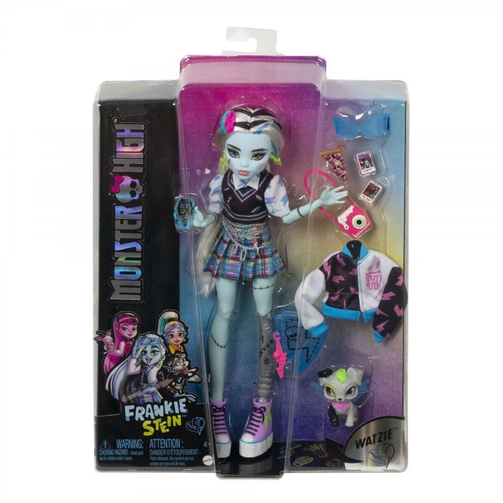 Nukk koos aksessuaaridega Monster High Core Frankie hind ja info | Tüdrukute mänguasjad | kaup24.ee