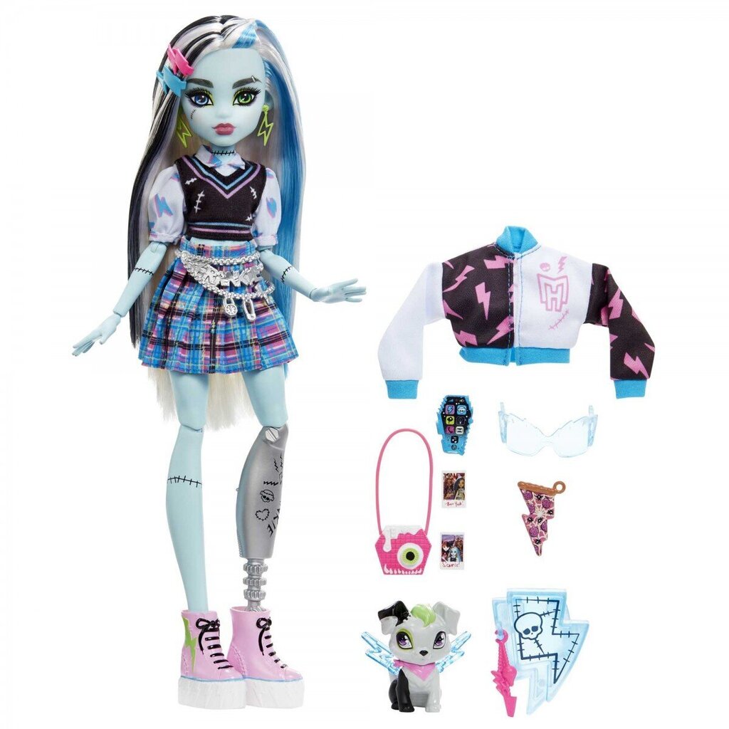 Nukk koos aksessuaaridega Monster High Core Frankie цена и информация | Tüdrukute mänguasjad | kaup24.ee