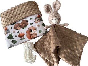 Kinkekomplekt Little Kaj, jänku unistus hind ja info | Imikute mänguasjad | kaup24.ee
