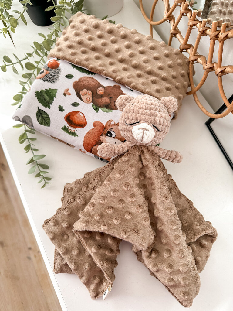Unelaulumängija Little Kaj, pruun цена и информация | Imikute mänguasjad | kaup24.ee