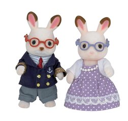 Figuuride komplekt vanaisa ja vanaema Sylvanian Families цена и информация | Игрушки для мальчиков | kaup24.ee