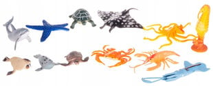 Фигурки морских животных Jin.  9-15 см цена и информация | Развивающие игрушки | kaup24.ee