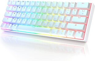 HK Gaming GK 61 juhtmevaba mehaaniline klaviatuur, valge, hõbedane lüliti Gateron цена и информация | Клавиатуры | kaup24.ee