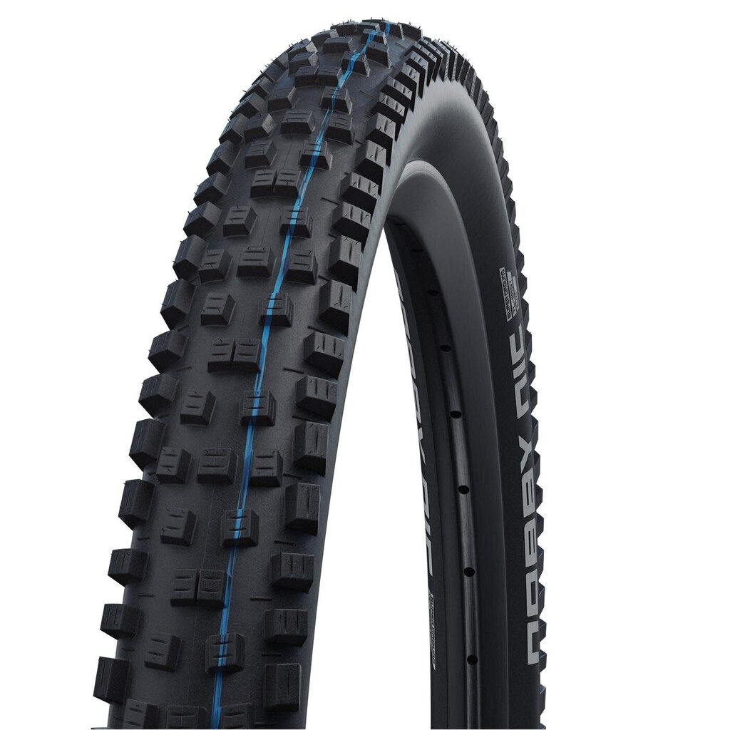 Jalgrattarehv 29" Schwalbe Nobby Nic HS 602, Evo Fold. 57-622 Super Ground Addix SpeedGrip цена и информация | Jalgratta sisekummid ja rehvid | kaup24.ee