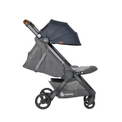 Спортивная коляска Ergobaby Metro+ Deluxe, London Grey цена и информация | Коляски | kaup24.ee