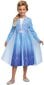 Laste karnevali kostüüm Disney Ice Age Elsa 94-109 cm 3-4 aastat vana цена и информация | Karnevali kostüümid | kaup24.ee