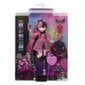 Nukk koos tarvikute komplektiga Monster High Core Draculaura цена и информация | Tüdrukute mänguasjad | kaup24.ee