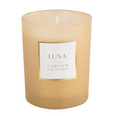 Свеча ароматическая Eurofirany Luna 200 г цена и информация | Подсвечники, свечи | kaup24.ee