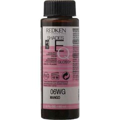 Перманентный крем-краска Redken EQ Gloss Nº 06WG (60 ml) цена и информация | Краска для волос | kaup24.ee
