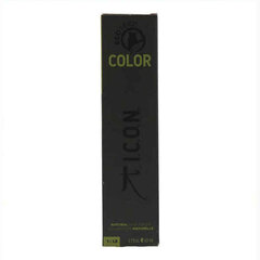 Püsivärv Color Ecotech Hi-Lift Icon Nº 107ss Irisé (60 ml) hind ja info | Juuksevärvid | kaup24.ee