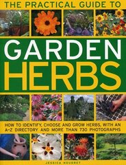 Practical Guide to Garden Herbs: How to Identify, Choose and Grow Herbs with an A-Z Directory and More Than 730 Photographs цена и информация | Книги по садоводству | kaup24.ee