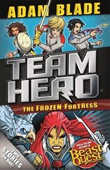 Team Hero: The Frozen Fortress hind ja info | Noortekirjandus | kaup24.ee