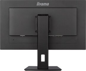 Iiyama ProLite XUB2893UHSU-B5 цена и информация | Iiyama Мониторы, стойки для мониторов | kaup24.ee