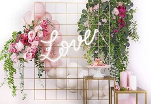 Неоновый светодиод "Love", белый цена и информация | Праздничные декорации | kaup24.ee