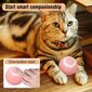 Interaktiivne nutipall kassidele Smart Cat Ball hind ja info | Mänguasjad kassidele | kaup24.ee
