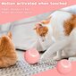 Interaktiivne nutipall kassidele Smart Cat Ball цена и информация | Mänguasjad kassidele | kaup24.ee