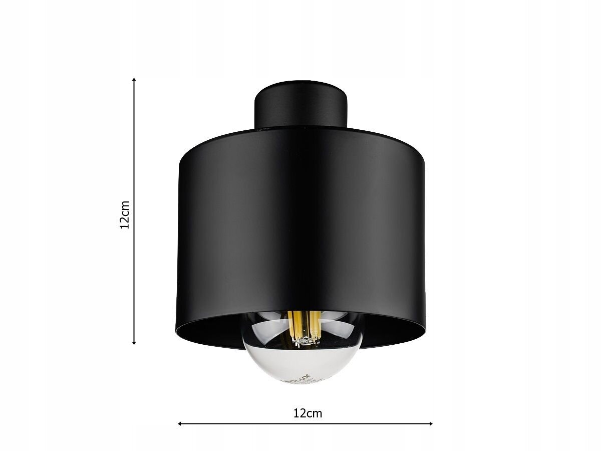 Ripplaevalgusti Ledlux, must hind ja info | Rippvalgustid | kaup24.ee