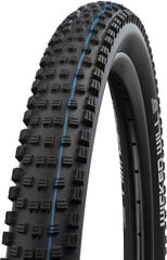 Schwalbe jalgratta rehv Wicked Will Evolution Super Ground 29x2.4" hind ja info | Jalgratta sisekummid ja rehvid | kaup24.ee