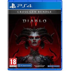 PlayStation 4 mäng Diablo IV цена и информация | Компьютерные игры | kaup24.ee