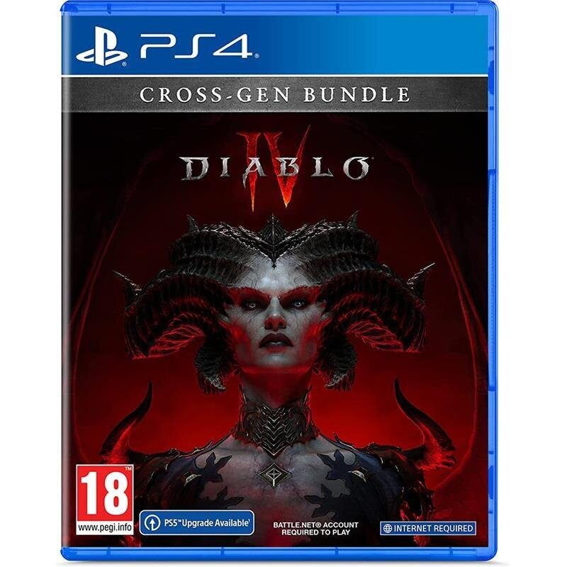 PlayStation 4 mäng Diablo IV цена и информация | Arvutimängud, konsoolimängud | kaup24.ee