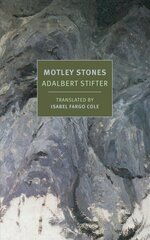 Motley Stones цена и информация | Фантастика, фэнтези | kaup24.ee