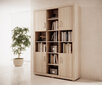 Raamaturiiul ADRK Furniture Bahar, pruun hind ja info | Riiulid | kaup24.ee