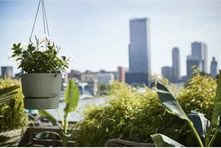 Подвесной горшок для растений Elho Greenville Зеленый Пластик (Ø 23,9 x 20,3 cm) цена и информация | Вазоны | kaup24.ee
