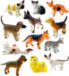 Loomakujud (kassid, koerad) Jin, 8-10 cm hind ja info | Arendavad mänguasjad | kaup24.ee
