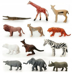 Loomakujude komplekt Jin, 8-12 cm hind ja info | Arendavad mänguasjad | kaup24.ee