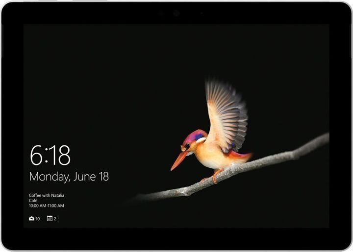 Microsoft Surface Go (MHN-00004) цена и информация | Sülearvutid | kaup24.ee