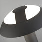 Dekoratiivne aialamp Searchlight Mushroom 15 W, 538 lm, 7264-730 hind ja info | Aia- ja õuevalgustid | kaup24.ee