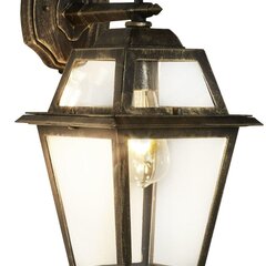 Searchlight уличный, фасадный настенный светильник NEW ORLEANS, 1xE27x60W, IP44, черный и золотой,1522 цена и информация | Уличное освещение | kaup24.ee