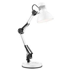 Searchlight настольная лампа Desk Partners Hobby, 1xE27x60W, EU2429WH цена и информация | Настольные лампы | kaup24.ee