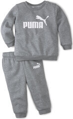 Puma Cпортивные Kостюмы Minicats Ess Crew Jooger Grey 846141 03 846141 03/98 цена и информация | Штаны для мальчика Nini | kaup24.ee