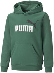 Poiste dressipluus Puma Ess + 2 Col Big Logo Green 586987 37 586987 37/176 цена и информация | Свитеры, жилетки, пиджаки для мальчиков | kaup24.ee