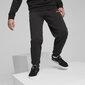 Poiste dressipüksid Puma Ess + 2 Col Logo Pants Black 586988 61 586988 61/140 цена и информация | Poiste püksid | kaup24.ee