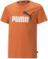 Puma T-Särgid Ess+ 2 Col Logo Tee Orange 586985 95 586985 95/116 hind ja info | Poiste särgid | kaup24.ee