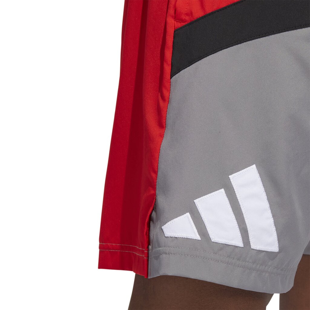 Meeste lühikesed püksid Adidas Galaxy Short Grey Red HE2902 HE2902/M hind ja info | Meeste lühikesed püksid | kaup24.ee